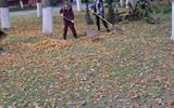 IMG-ce11e204d3695eb9ece96131986e92d5-V